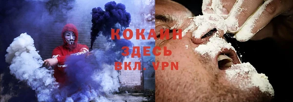 крисы Армянск