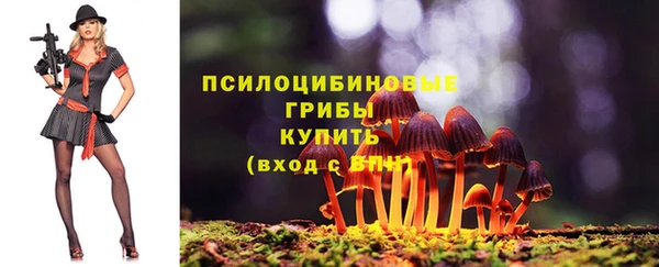 крисы Армянск