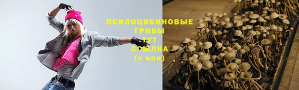 дурь Арсеньев
