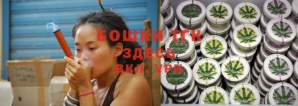 крисы Армянск