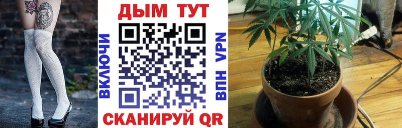 где купить   Севск  Бошки марихуана гибрид 